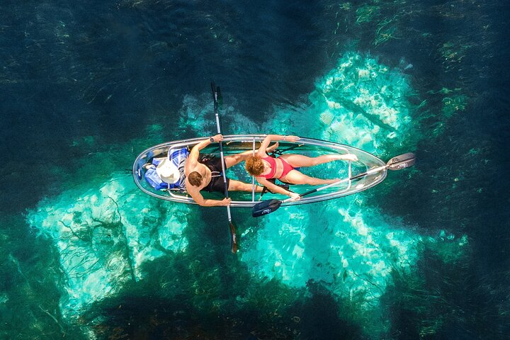 Silver Springs: Clear Kayak Wildlife Adventure - Photo 1 of 6